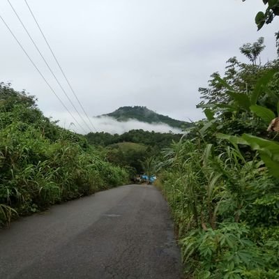 pani61194210's profile picture. babau