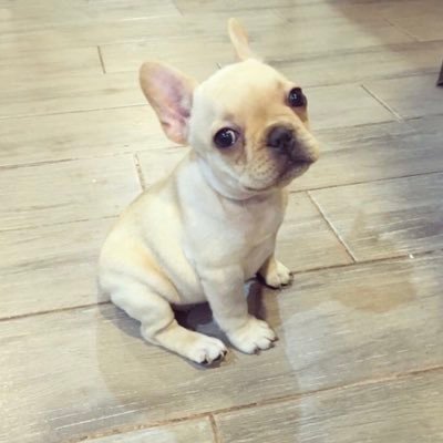 Nightyrawi's profile picture. 