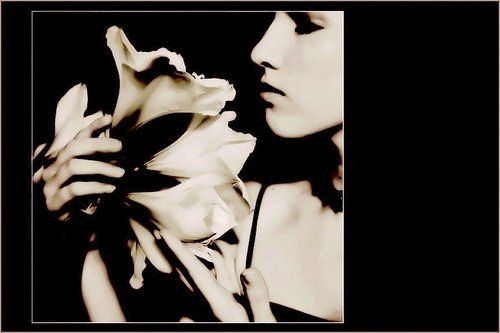 pgorganics's profile picture. Natural & organic perfume - Embrace organic EdP as seen in Vogue Oct 2012. 

Best Perfume - Biteable Beauty Best of 2012-2013 Beauty Awards.