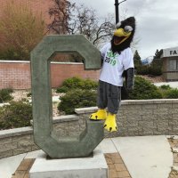 Clearfield High(@chsfalcons) 's Twitter Profile Photo