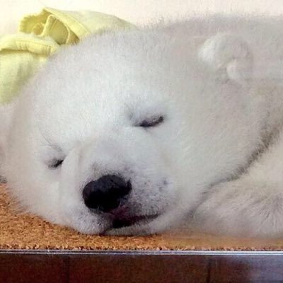 gtuKvkyM2WjWunT's profile picture. こちらでは清水エスパルス、藤枝MYFC、ベルテックス静岡、ベルーナさん、地元タレントさんなどの自身で撮影した写真をアップしていこうかと思います。 被写体ご本人及び所属団体様以外の写真の無断使用はご遠慮下さい。 ＊女性目線で不快と思われるポスト・リポストをされていると私が認識した方はブロックいたします。