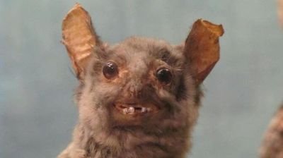 Isa34002881's profile picture. yo he venido aquí a hablar de mi libro