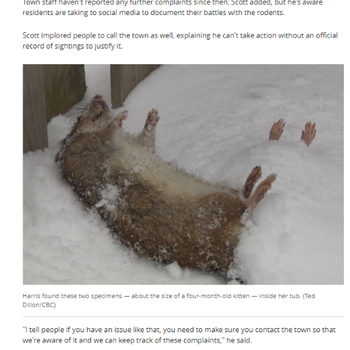 steffabj's profile picture. thick thighs + thin skin .. she/her🤠