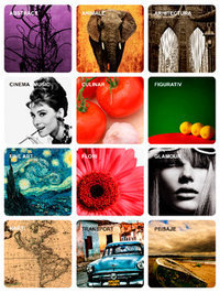 Artposters_ro's profile picture. ARTPOSTERS este cel mai important producator roman de tablouri si postere