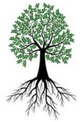 SteveJo29027878's profile picture. 