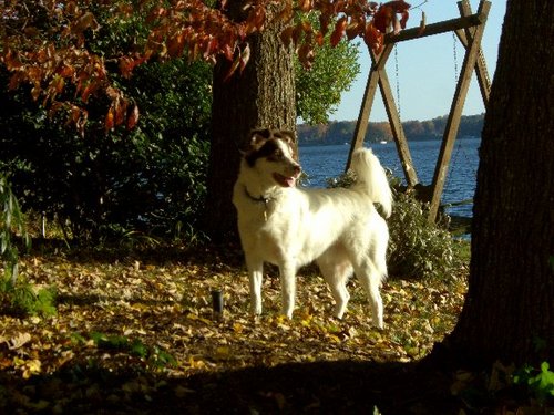 zepica's profile picture. 