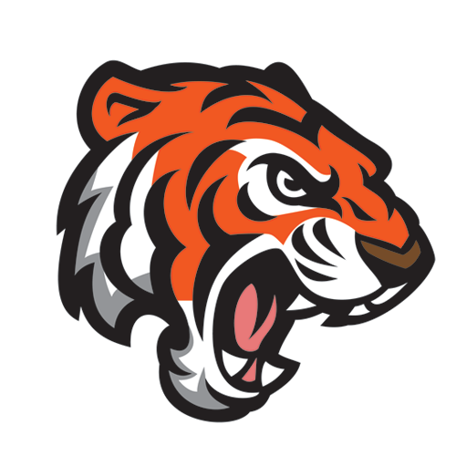 TigerTraduzioni's profile picture. T.I.G.E.R. Traduzioni è un piccolo gruppo di traduttori di videogiochi a livello amatoriale.