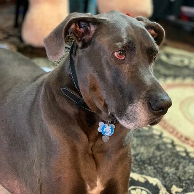 Alexand09411787's profile picture. 