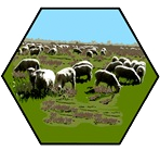 VirtualGaming's profile picture. Classic RPG, EVE Online &amp; Catan-inspired gear