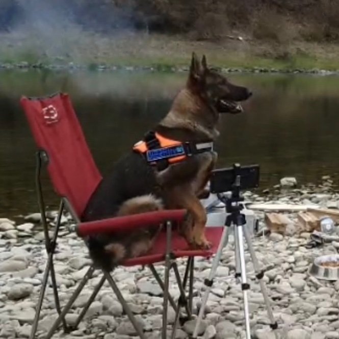 QqRpDSCSCg6slvL's profile picture. YouTude 봉고맨입니다