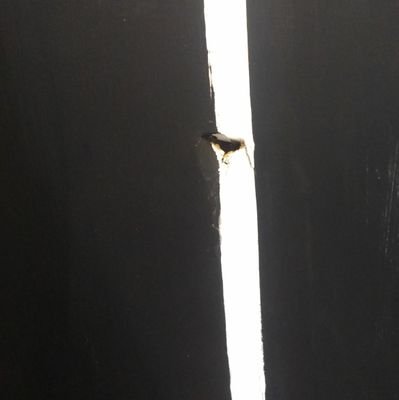 JosGonz55939854's profile picture. 