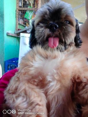 chrispa86705105's profile picture. 