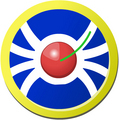 Cherryone Web: With locations in Chicago, Miami and LA, we are your one-stop-shop for all your Internet marketing needs–Web Design, SEO and Social Media!