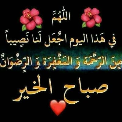 vmf8n3y8's profile picture. مبادل المكلا