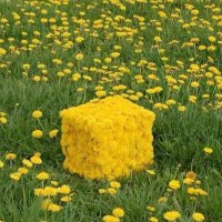 gracie🧼🧼 (@cryfiiish) 's Twitter Profile