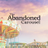 TheAbandonedCarousel