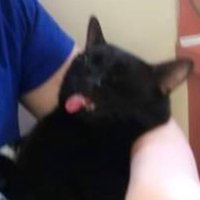 sweet young coconut (@lonely_snails) 's Twitter Profile
