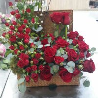A_q3333 (@r_q3333) 's Twitter Profile