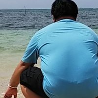 polygon prompt (@jellia59) 's Twitter Profile Photo