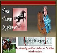 Horse Vitamin Supplement Provides the Best, Low Cost Solutions to Your Horse’s Needs