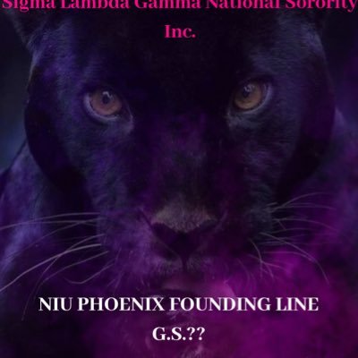 IG: https://t.co/iNYKGcg7sx #phoenixfounders | niugammas1990@gmail.com