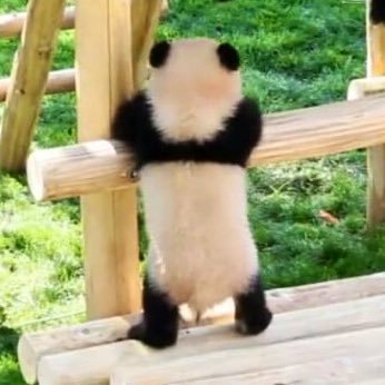 mgm_k5's profile picture. 🐼 ❤︎