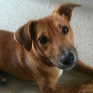 stompbox69's profile picture. 