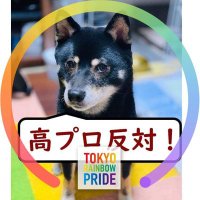 alto肉球新党💙💛(@altoext) 's Twitter Profile Photo