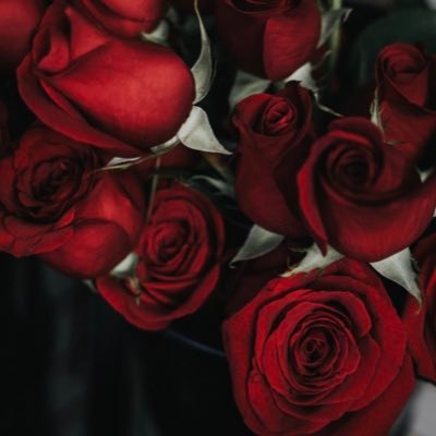 🌸 We have all kinds of roses 💵 At nominal prices 📥For order DM 📍Kuwait بوكيه عباره عن ٢٥ ورده جوريه ب ١٥ دينار بس