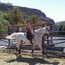 Toni Mills - @xLoveHorsesx - Twitter