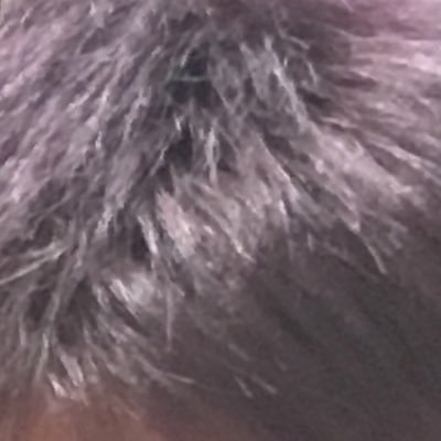 さのすけさんのプロフィール画像