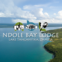 Ndole Bay Lodge(@NdoleBayLodge) 's Twitter Profile Photo
