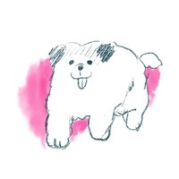 もなかとキャラメル (@monaka_no_onaka) 's Twitter Profile Photo