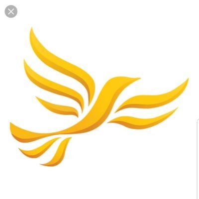 @TattonLibDems