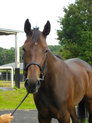 tactak33's profile picture. 馬、カラオケ、飲み、美味しいもの、卓球、LPGA、六飲み、全国GG巡りなどが好きな奴です。ISTJ-T。