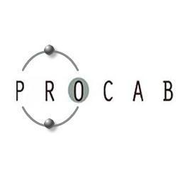 procab_mexico's profile picture. ASOCIACIÓN NACIONAL DE PROFESIONALES DEL CABILDEO, A.C.“Informar para influir”, lícita y transparentemente promoviendo la democratización de decisiones públicas
