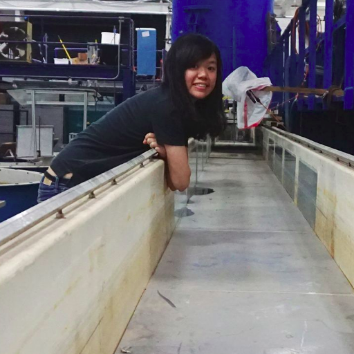 Currently a postdoc at OIST, marine biophysics || PhD in civil engineering, UIUC || MS and BS in mechanical engineering