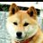 hajimeのアイコン