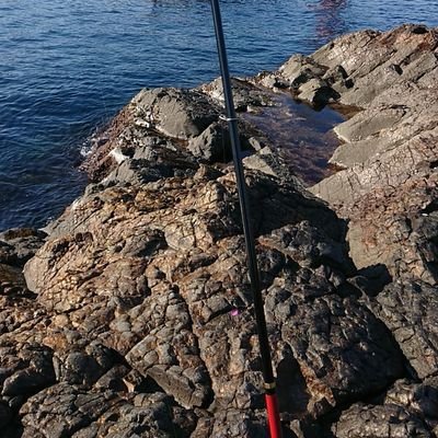 kjcs9EkLPmyJNLp's profile picture. 釣り行きてー