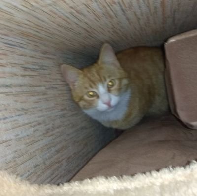 dimacrb's profile picture. 