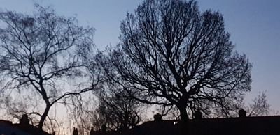 Wesa99216980's profile picture. hi peeps