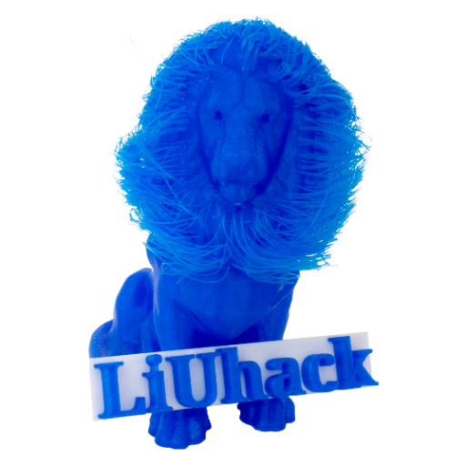 LionHack Profile