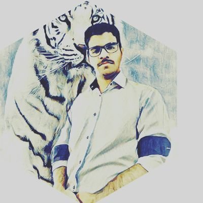Luna42974219's profile picture. al of us must be together