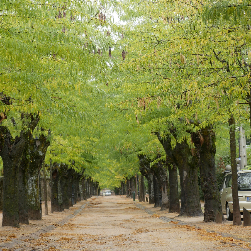 Aliceya35749145's profile picture. Alice  yang