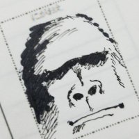 🦍 (@gorilla_burning) 's Twitter Profile