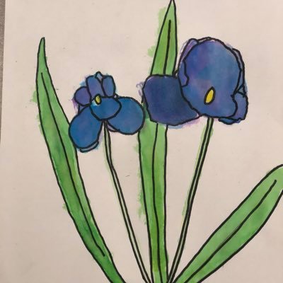 tlcollab's profile picture. A 501(c)3 non-profit organization striving to provide equity and access to highest-quality educational opportunities.