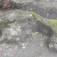 マグネシウム10金魚岩(@PzYs78p6gRgOjxw) 's Twitter Profile Photo