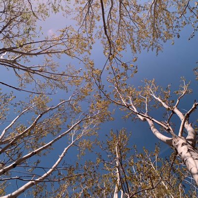 AhmadiLeeda's profile picture. Afghan-Indian 🇦🇫🇮🇳🇱🇷// Physician// IMG// ECFMG Certified.