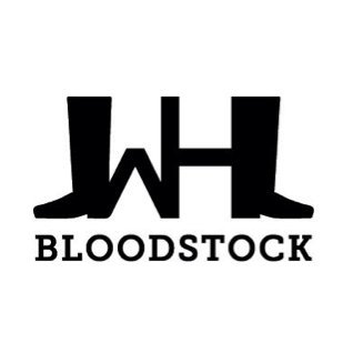 WH Bloodstock - Partnership specialising in bloodstock sales preparation and consigning - 4 individual Stakes winners in 2021 Website https://t.co/xOoqtuDuQ4