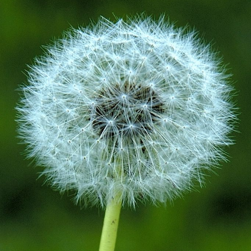 Lidbloom's profile picture. I'm not a robot